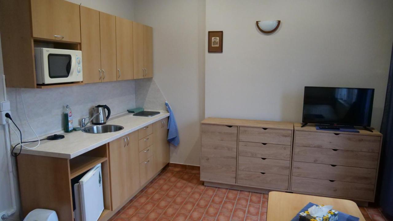 Penzion Na Hradbach Louny Kültér fotó